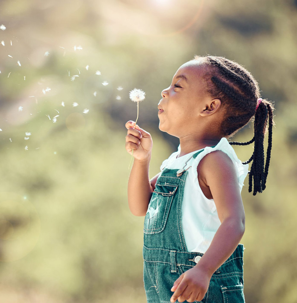 Play Therapy with Wild Wisdom Therapy in Lyons Colorado